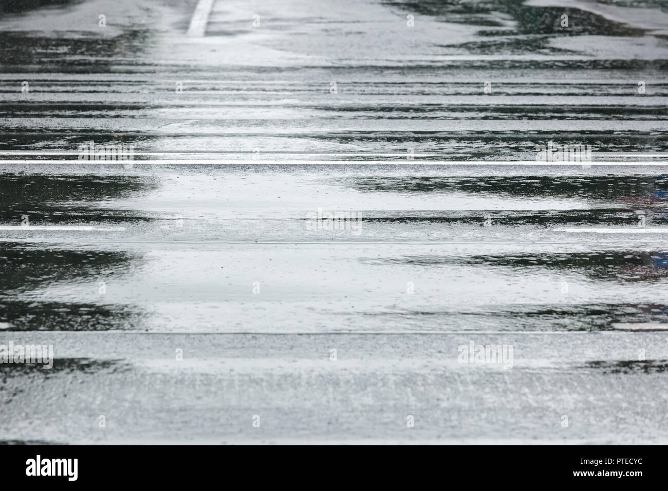 Nasser asphalt Fahrbahn mit reflektierenden Umgebung Stockfoto