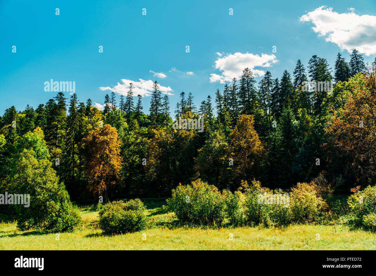 Schöne Karpaten Sommer Landschaft in Rumänien Stockfoto