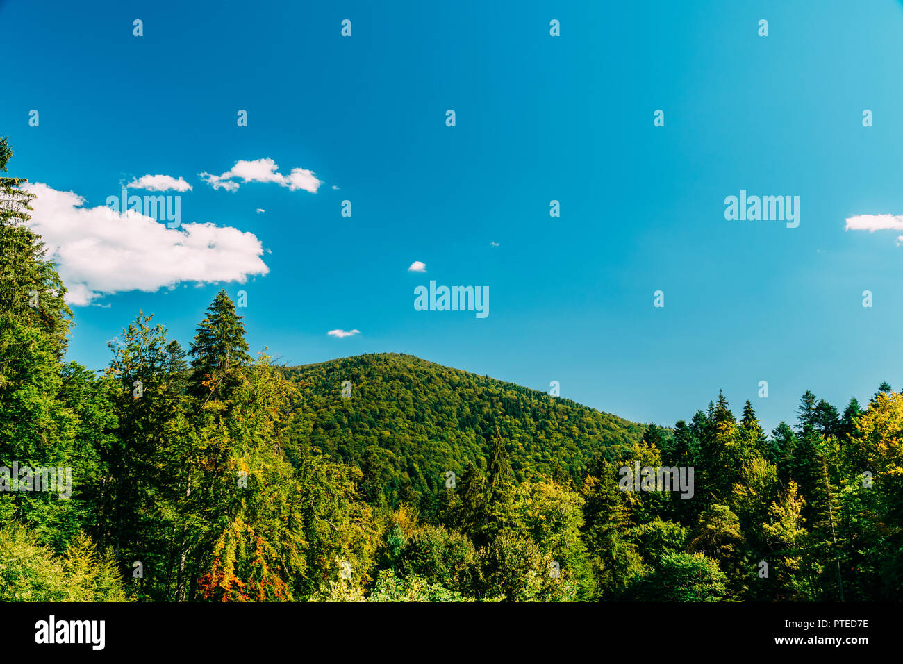 Schöne Karpaten Sommer Landschaft in Rumänien Stockfoto