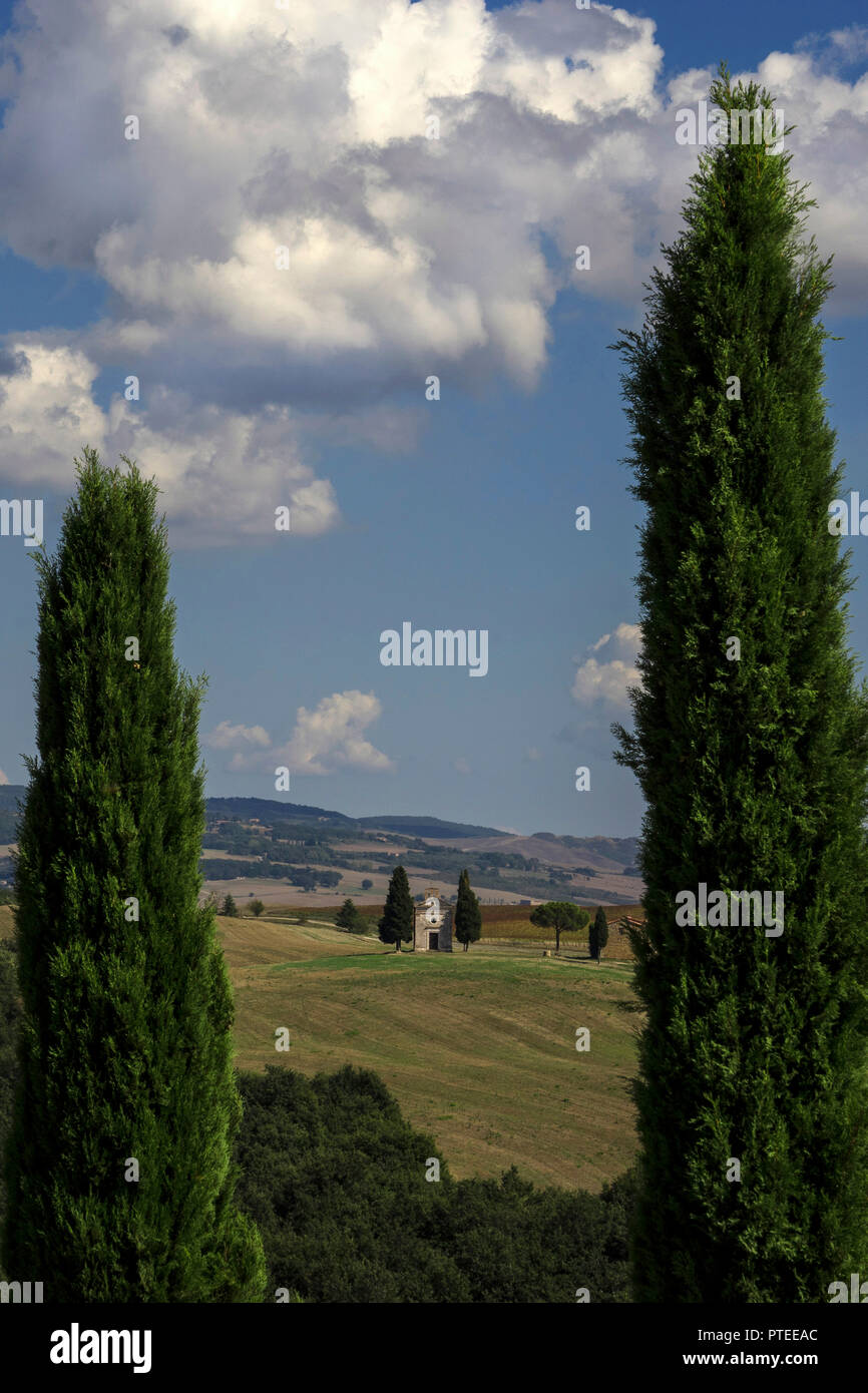 Toskanische Landschaft mit Cappella d'vitalita Kapelle im Val d'Orcia, Toskana, Italien, Europa Stockfoto