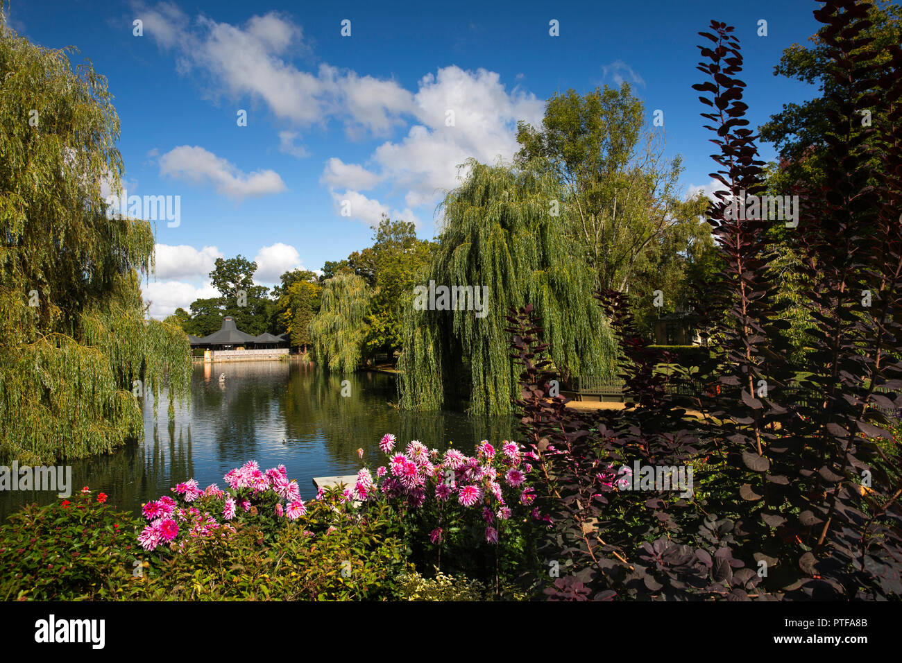 England, Berkshire, Lower Basildon, Beale Park Wildlife Park & Garten, See und Beale Center Stockfoto