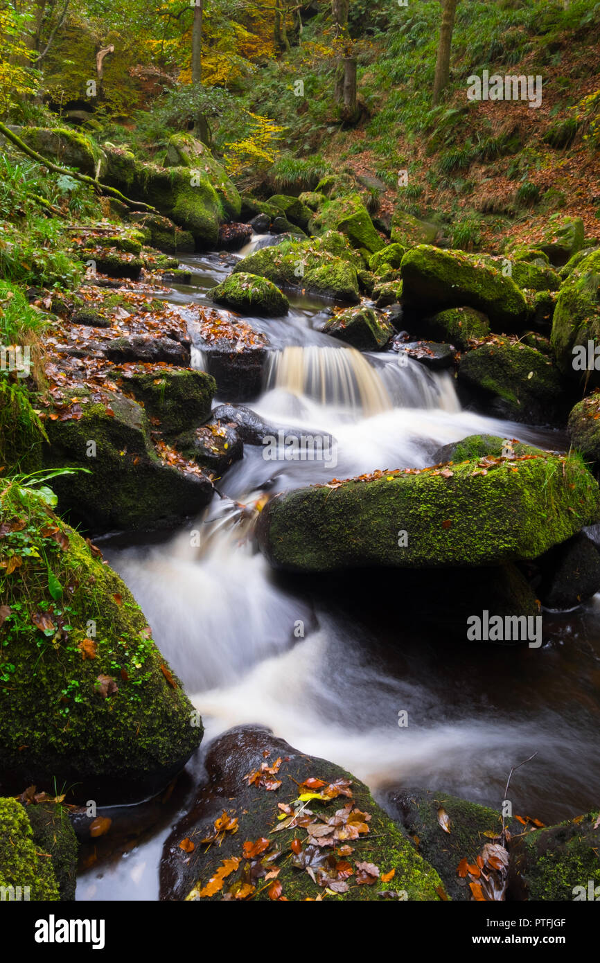 Burbage Bach in Padley Schlucht, Herbst Stockfoto