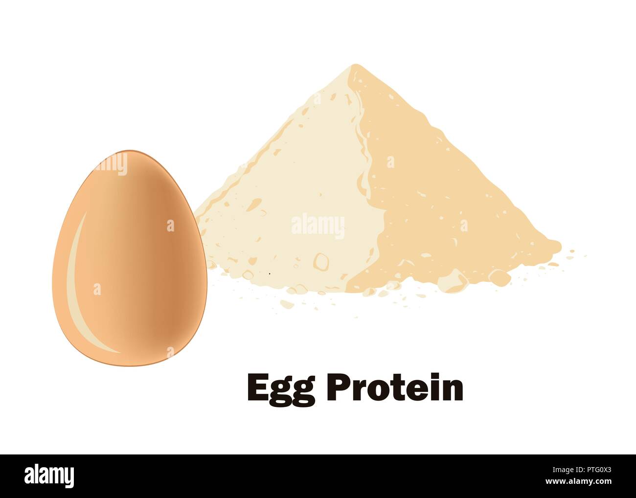 Egg Protein Pulver und das ganze Ei. Vector Illustration. Bodybuilding Supplement Konzept. Stock Vektor