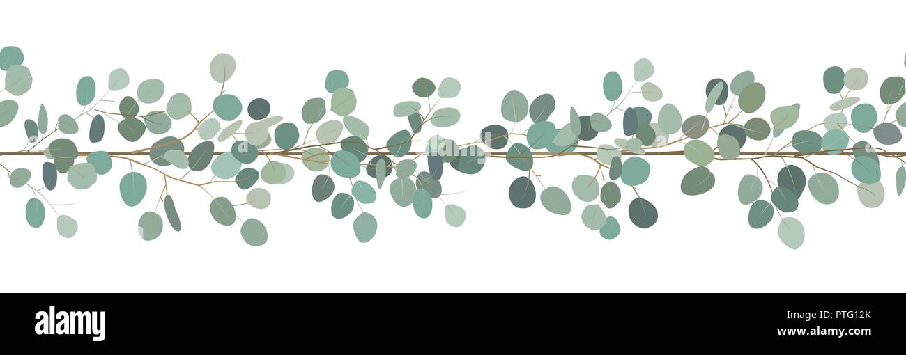 Elegante nahtlose Grenze eines Eukalyptus Filialen. Floral frame. Vektor handgezeichnete Illustrationen. Weißer Hintergrund. Stock Vektor