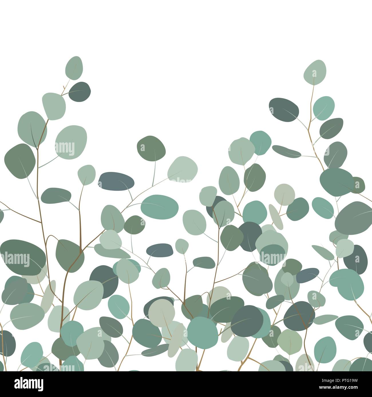 Horizontale nahtlose Muster mit Eukalyptus. Florales Ornament mit Silver Dollar eukalyptus Filialen. Elegantes Design für Bettzeug textile, Karten, Grenze Stock Vektor