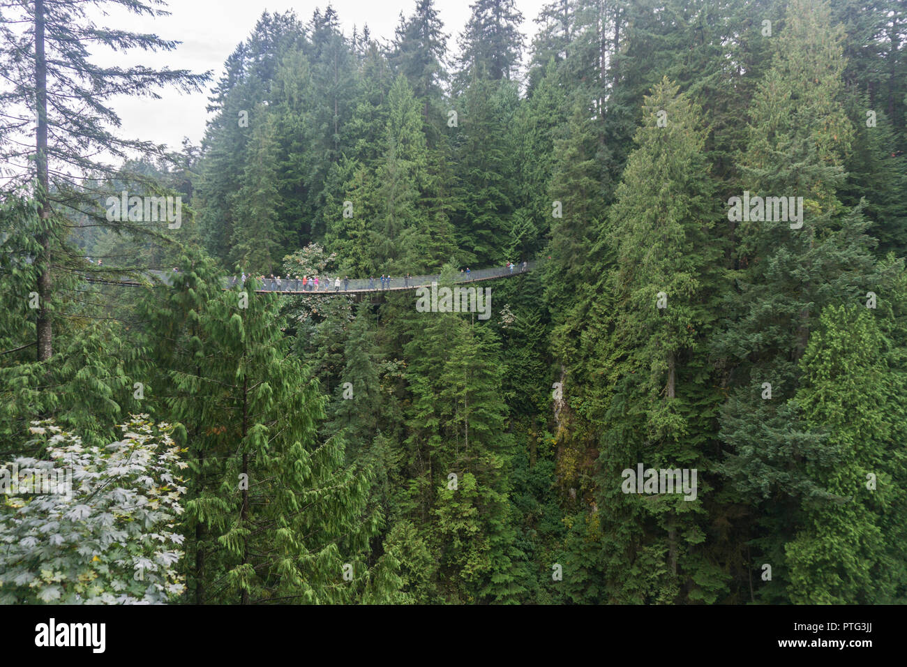 VANCOUVER, Kanada - 11. SEPTEMBER 2018: Besucher die 450 ft Capilano Suspension Bridge in Vancouver Stockfoto