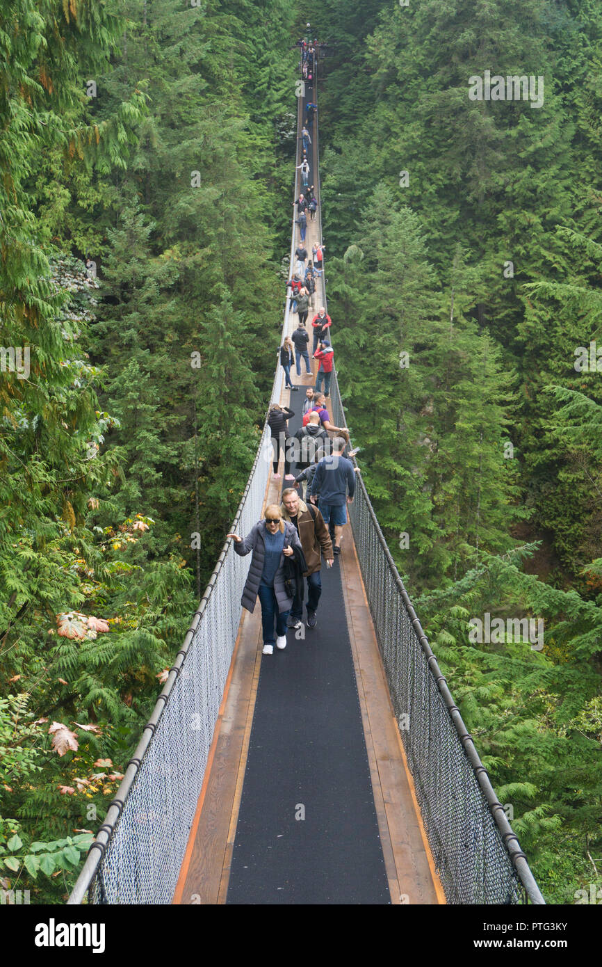 Cliff walk capilano suspension bridge park vancouver canada Fotos und