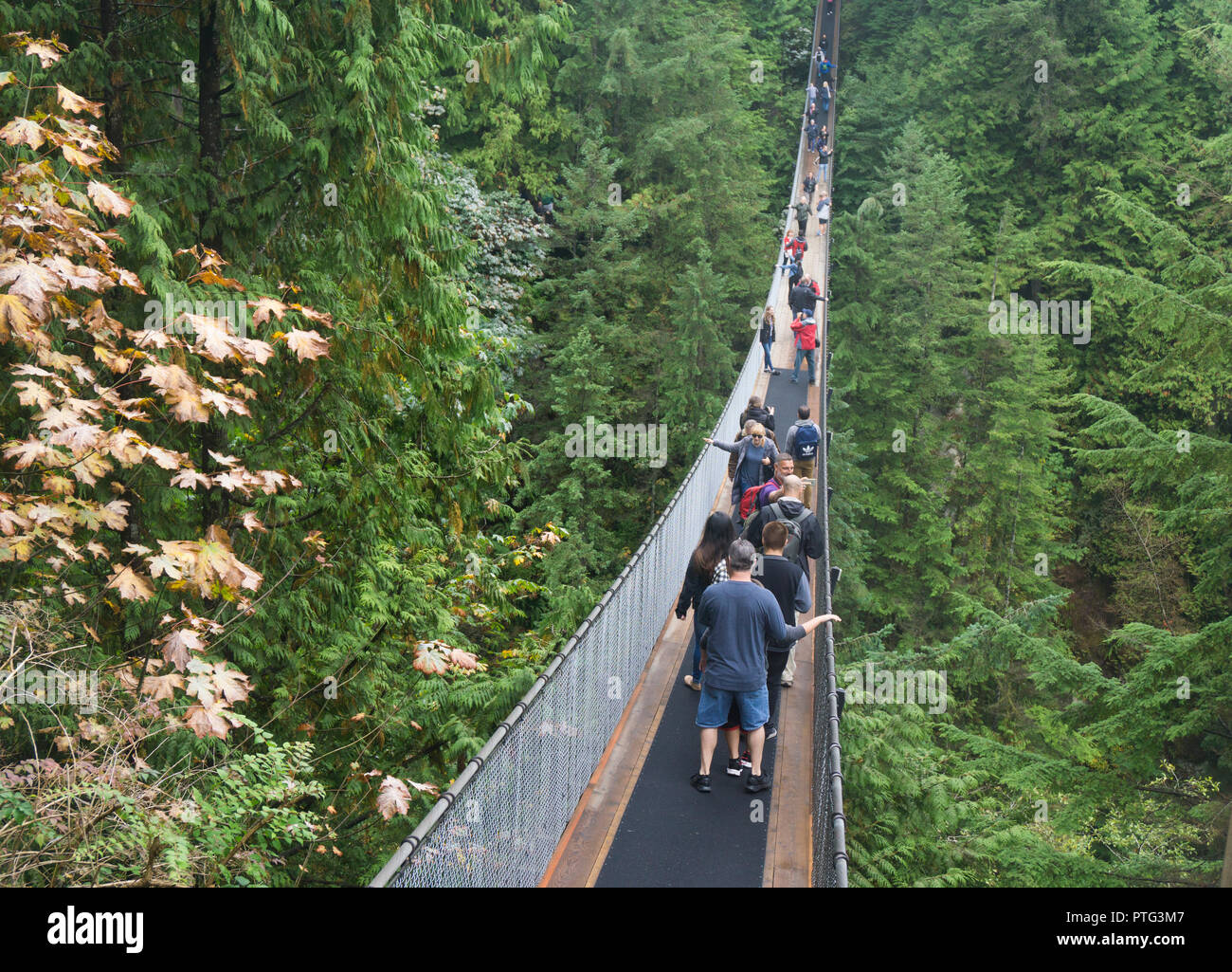 VANCOUVER, Kanada - 11. SEPTEMBER 2018: Besucher die 450 ft Capilano Suspension Bridge in Vancouver Stockfoto