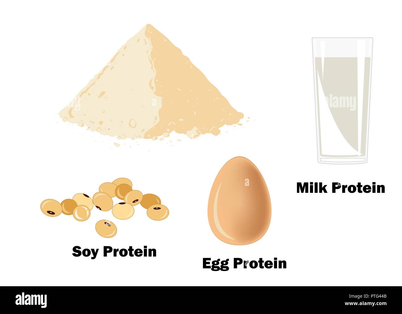 Die wichtigsten Quellen von Protein für Bodybuilder. Milch oder Kasein, Eiern, Soja Protein Pulver. Vector Illustration. Bodybuilding Supplement Konzept. Stock Vektor