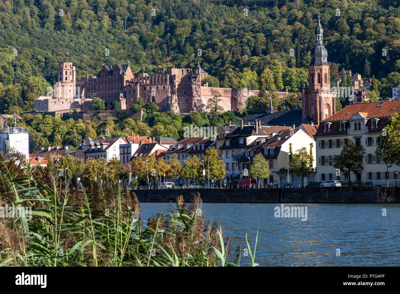 Die Alte Brücke über den Neckar, in der Altstadt von Heidelberg, Heidelberger Schloss, Deutschland, Stockfoto