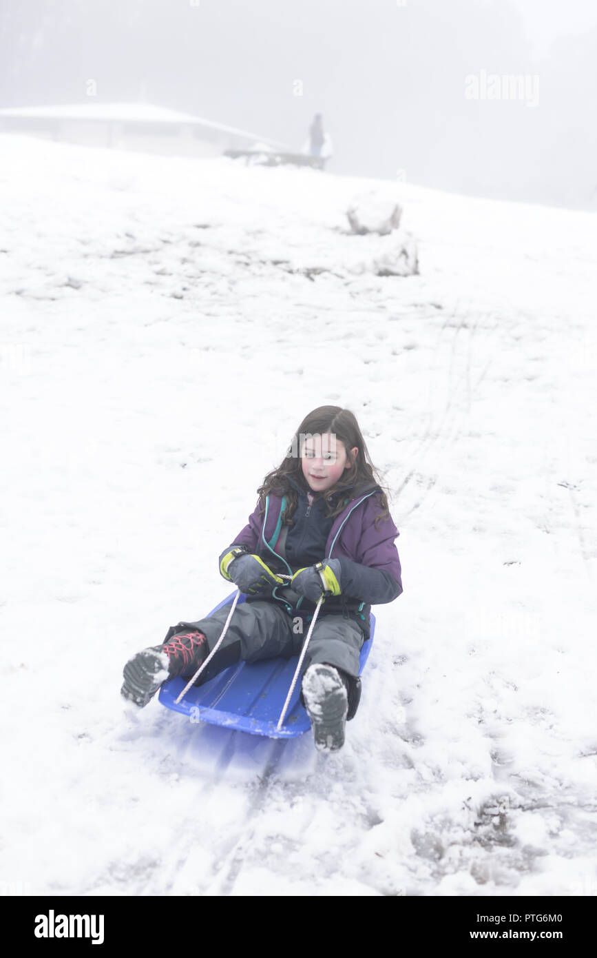 Junge Mädchen Folien einen Hügel hinunter auf eine Rodelbahn an einem nebligen Tag im Schnee Stockfoto