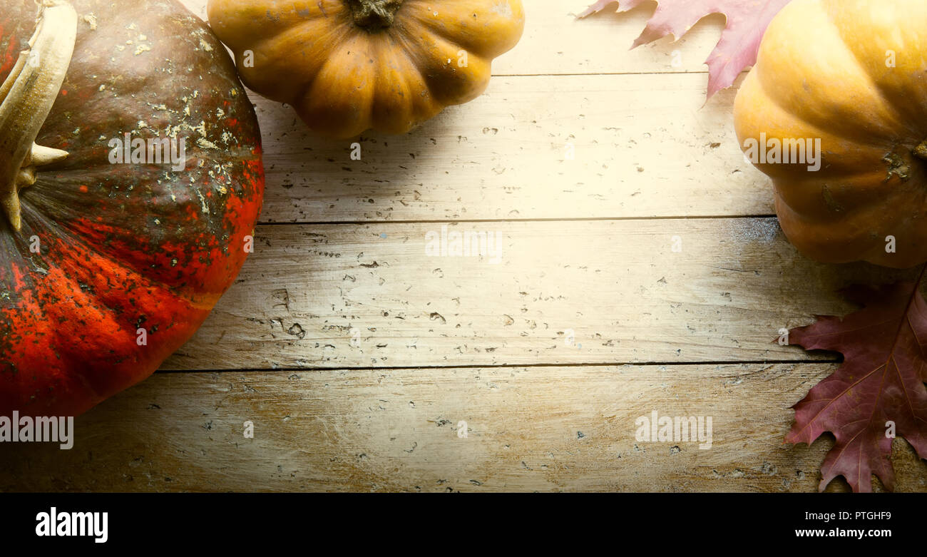 Kürbis auf hölzernen Hintergrund; Thanksgiving Kunst Stockfoto