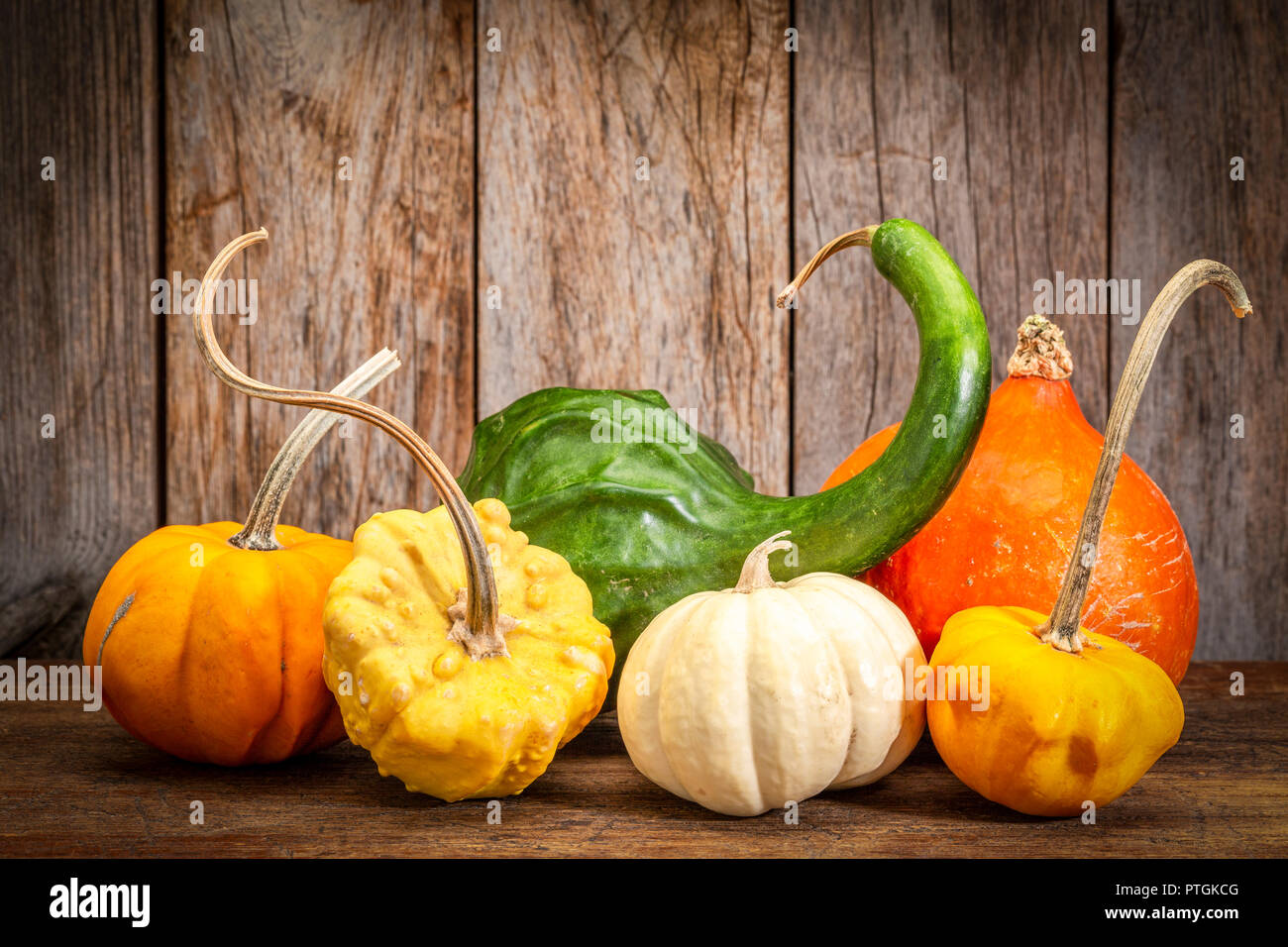 Winter Squash und dekorative Kürbisse gegen rustikalen Herbstferien Dekoration Stockfoto