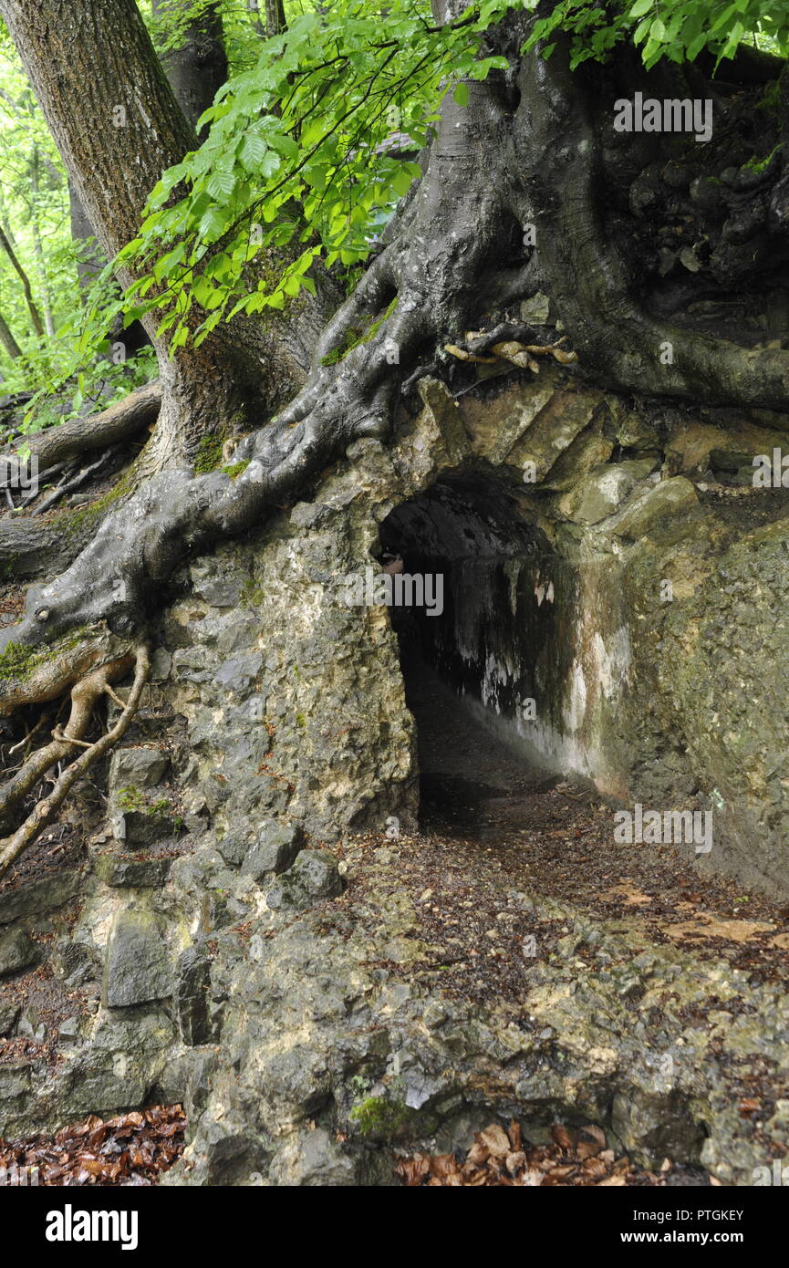 Nettersheim, Quellfassung Grüner Pütz. 1975 restauriert. Römische Wasserleitung Stockfoto