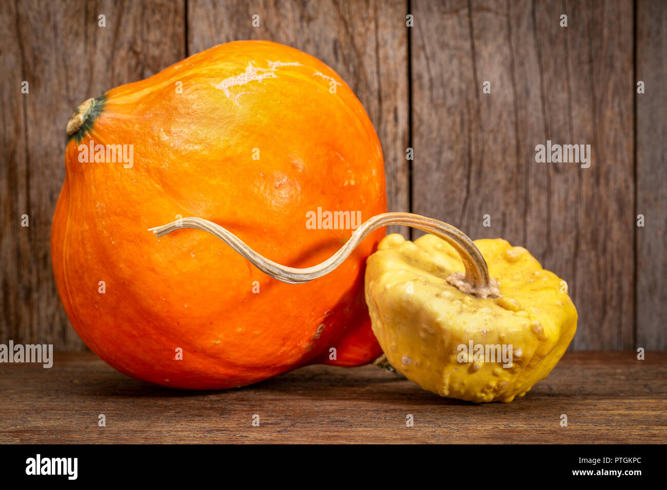 Red kuri Winter Squash- und Zierpflanzen Kürbis gegen rustikalen Herbstferien Dekoration Stockfoto