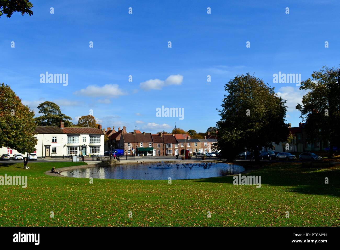 Bunte Herbst Szene am Norton Ententeich, in der typisch britischen Dorf von Norton, Teesside. Stockfoto
