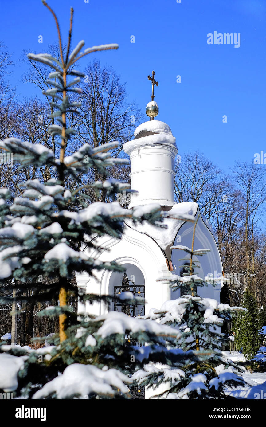 Wintermärchen in den Park. Fichte mit Schnee bedeckt. Es ist eine Struktur im Hintergrund. Stockfoto