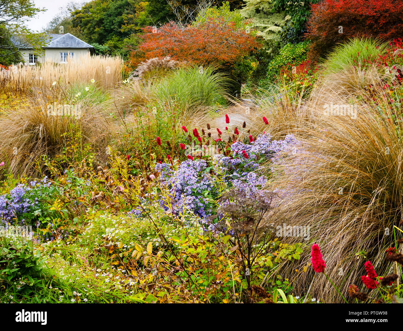 Komprimierte Ansicht über den Herbst Farben der Sommer Garten Garten Haus, Buckland Monachorum, Devon, Großbritannien Stockfoto
