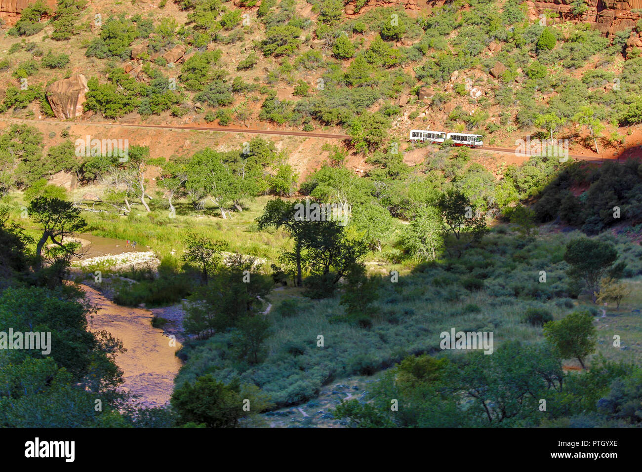 Zion Nationalpark Stockfoto