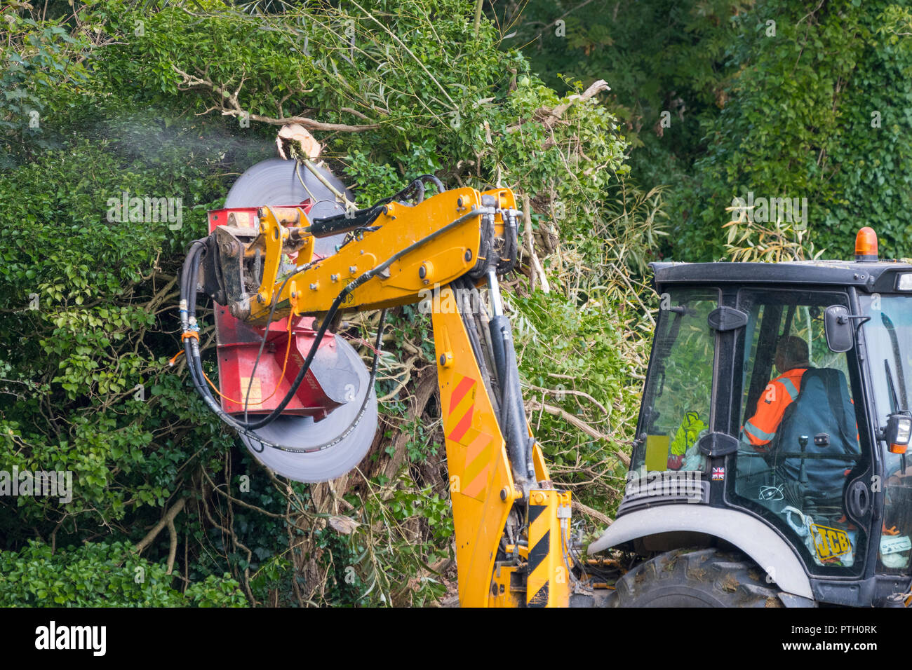 Protech PB 2000 (Powerblade 2000) Doppeldrehung sah in einen Traktor eingebaut, Schneiden von Bäumen in Wäldern im Herbst in Großbritannien. Stockfoto