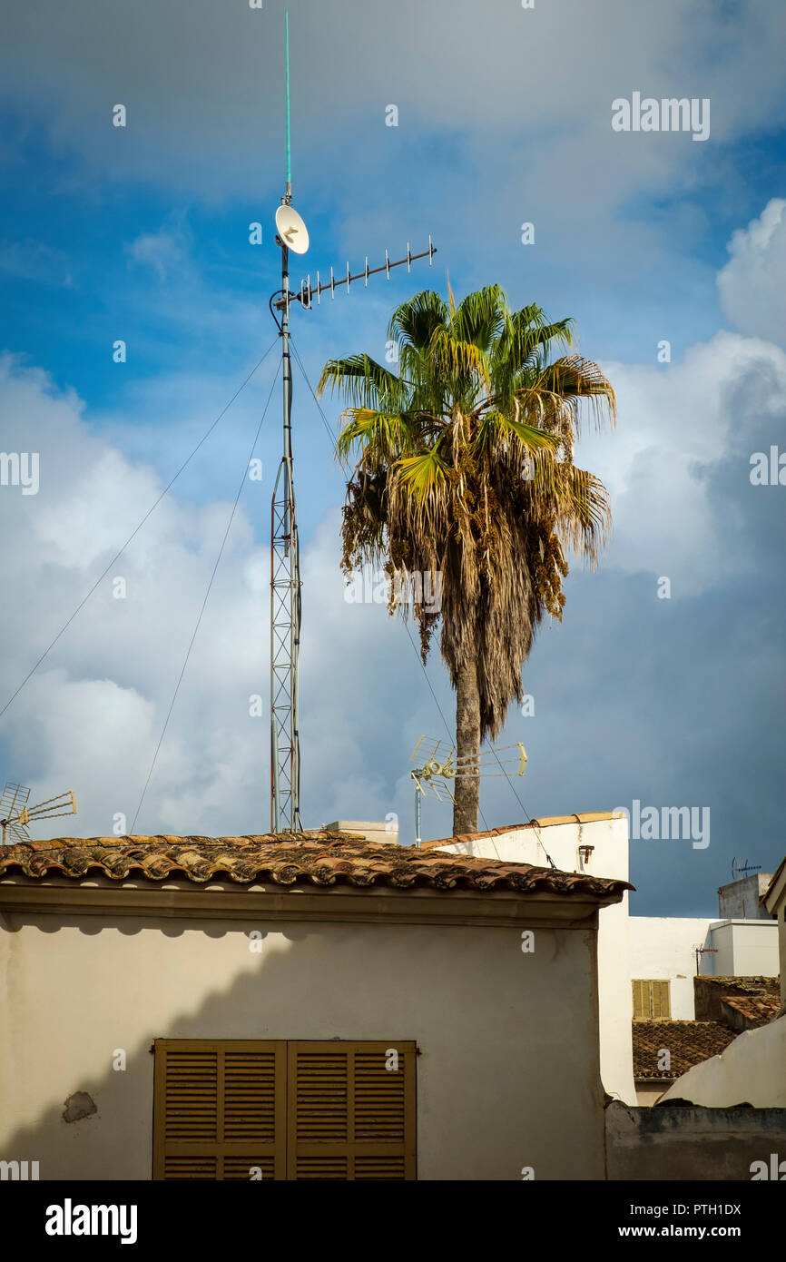 Neue Kommunikation Turm und alte Palme steigen über sonnenbeschienene Terrakotta Dächer, Alcudia, Mallorca, Spanien Stockfoto