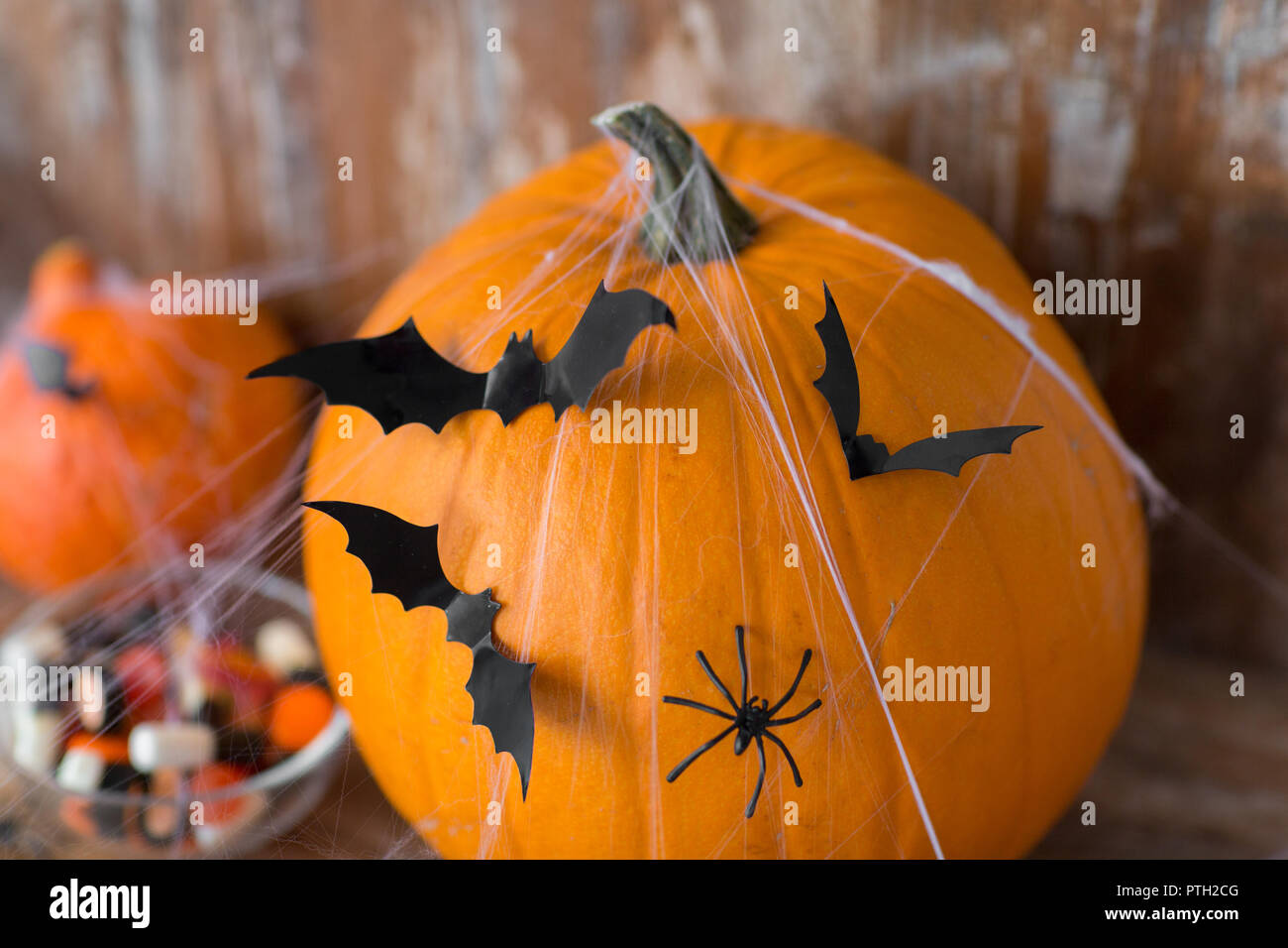 Halloween Kürbisse mit Fledermäusen und Spinnennetz Stockfoto