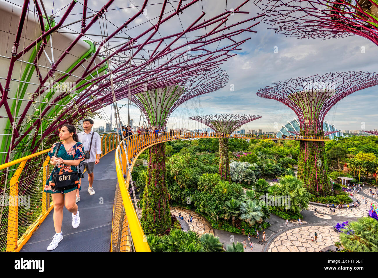 Die Supertree Grove in Gärten durch die Bucht natur park, Singapur Stockfoto