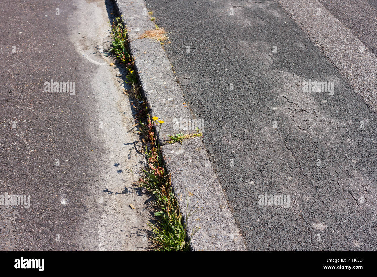 Unkraut wächst Straßenkante während der BRITISCHE Hitzewelle von 2018 Stockfoto