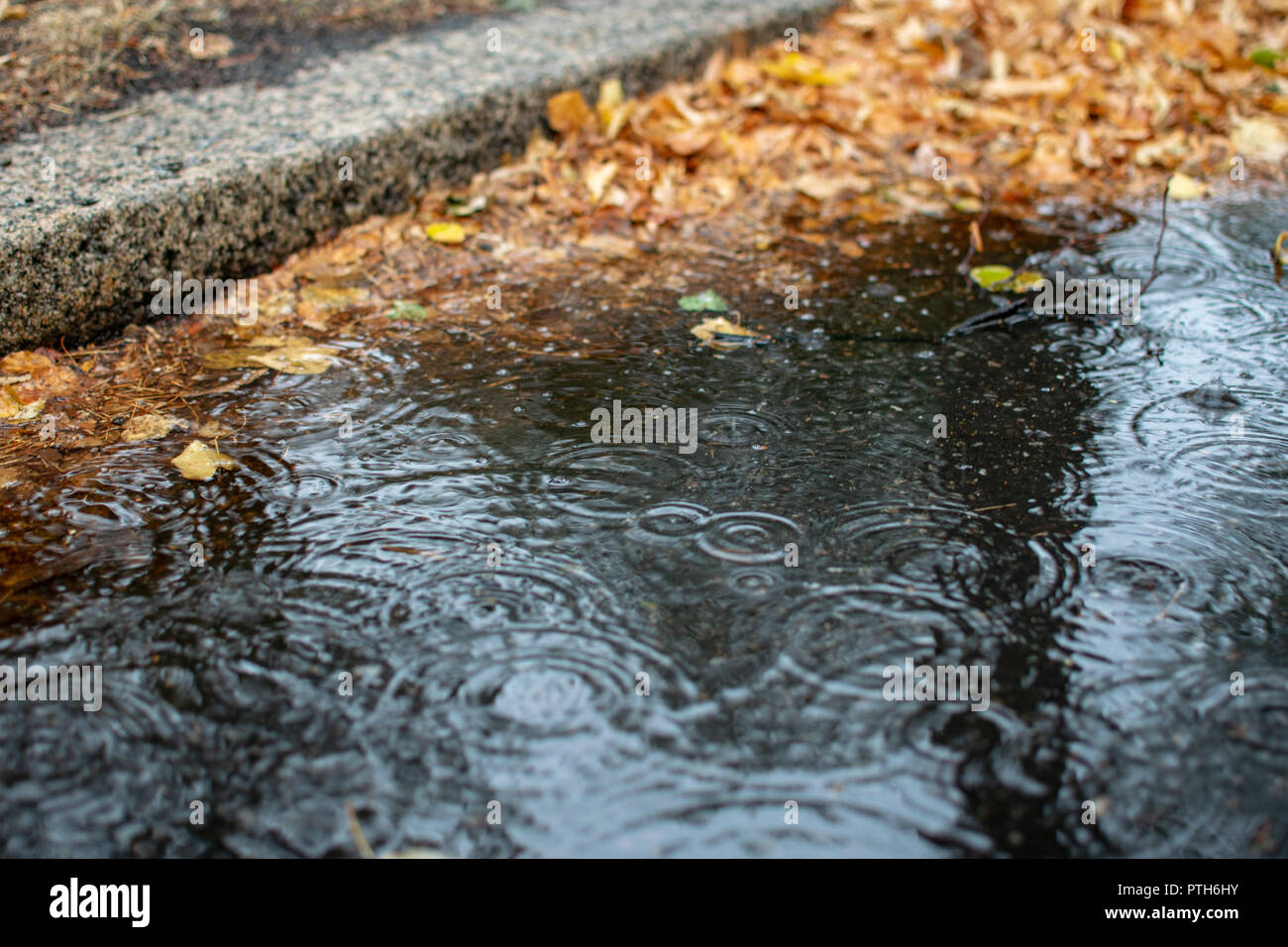 Pfütze Wasser auf nasser Straße Stockfoto