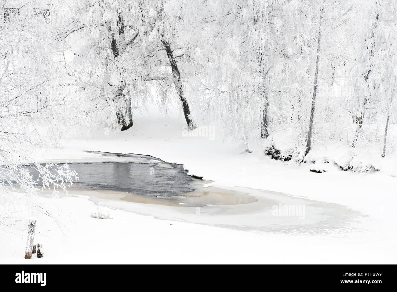 Winter Flusslandschaft mit Frost Bäume am Ufer abgedeckt. Stockfoto