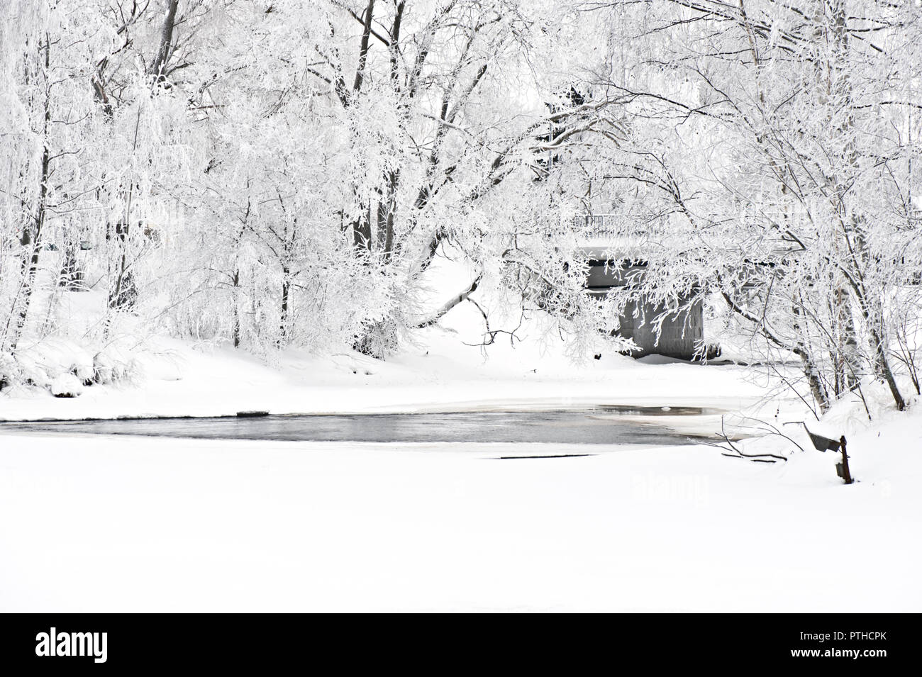 Winter Flusslandschaft mit Frost Bäume am Ufer abgedeckt. Stockfoto