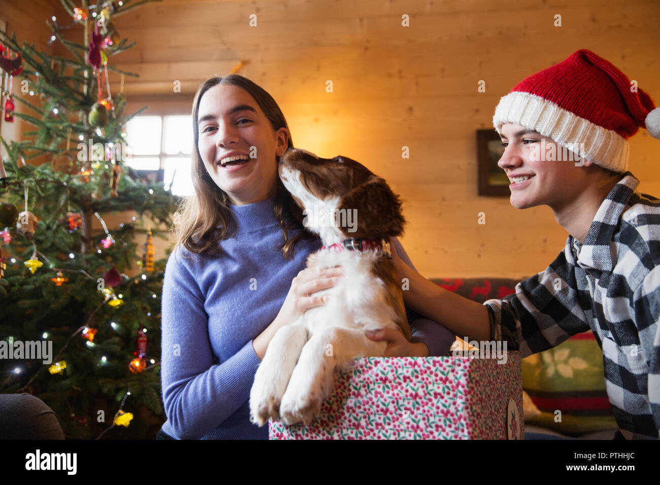 Portrait happy Bruder und Schwester mit Hund in Weihnachten Geschenkverpackung Stockfoto