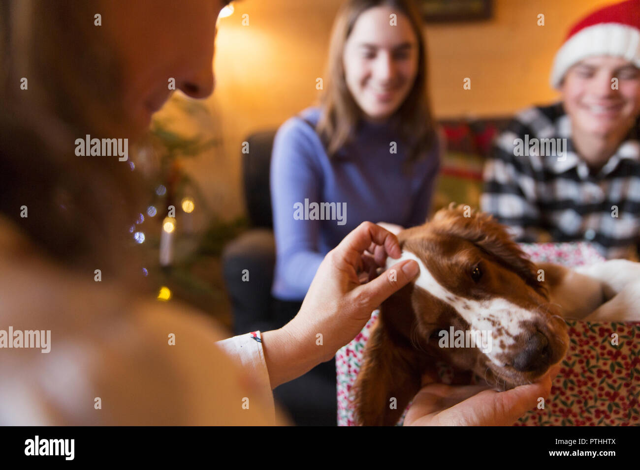 Familie Streichelzoo Hund in Weihnachten Wohnzimmer Stockfoto
