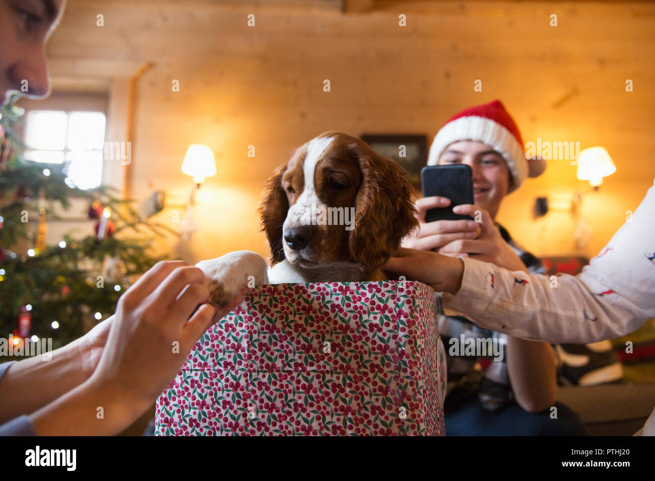 Familie mit Hund in Weihnachten Geschenkverpackung Stockfoto