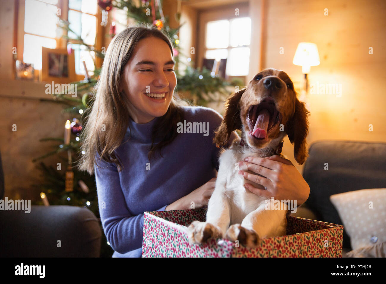 Happy teenage Mädchen mit Gähnen Hund in Weihnachten Geschenkverpackung Stockfoto