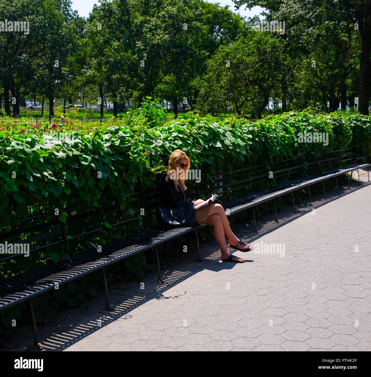 Eine junge Frau in Sonnenbrille entspannt sich in der Ruhe und Sonne von Battery Park, New York, indem sie auf einer Bank sitzt und an einem schönen sonnigen Tag ein Buch liest Stockfoto