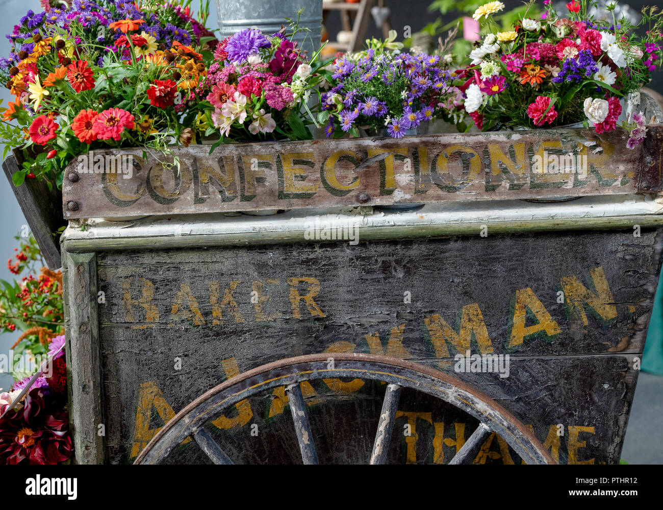 Blumenschau auf einem alten Holzkarren bei einer Herbstshow. VEREINIGTES KÖNIGREICH Stockfoto