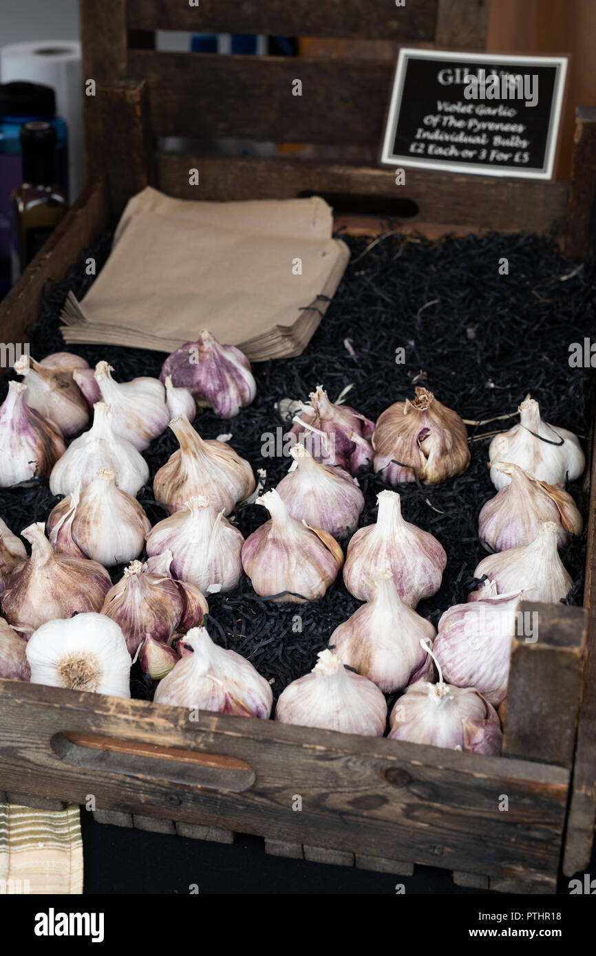 Französische violett auf einem Stand auf dem Thame Food Festival Knoblauch. Thame, Oxfordshire, England Stockfoto