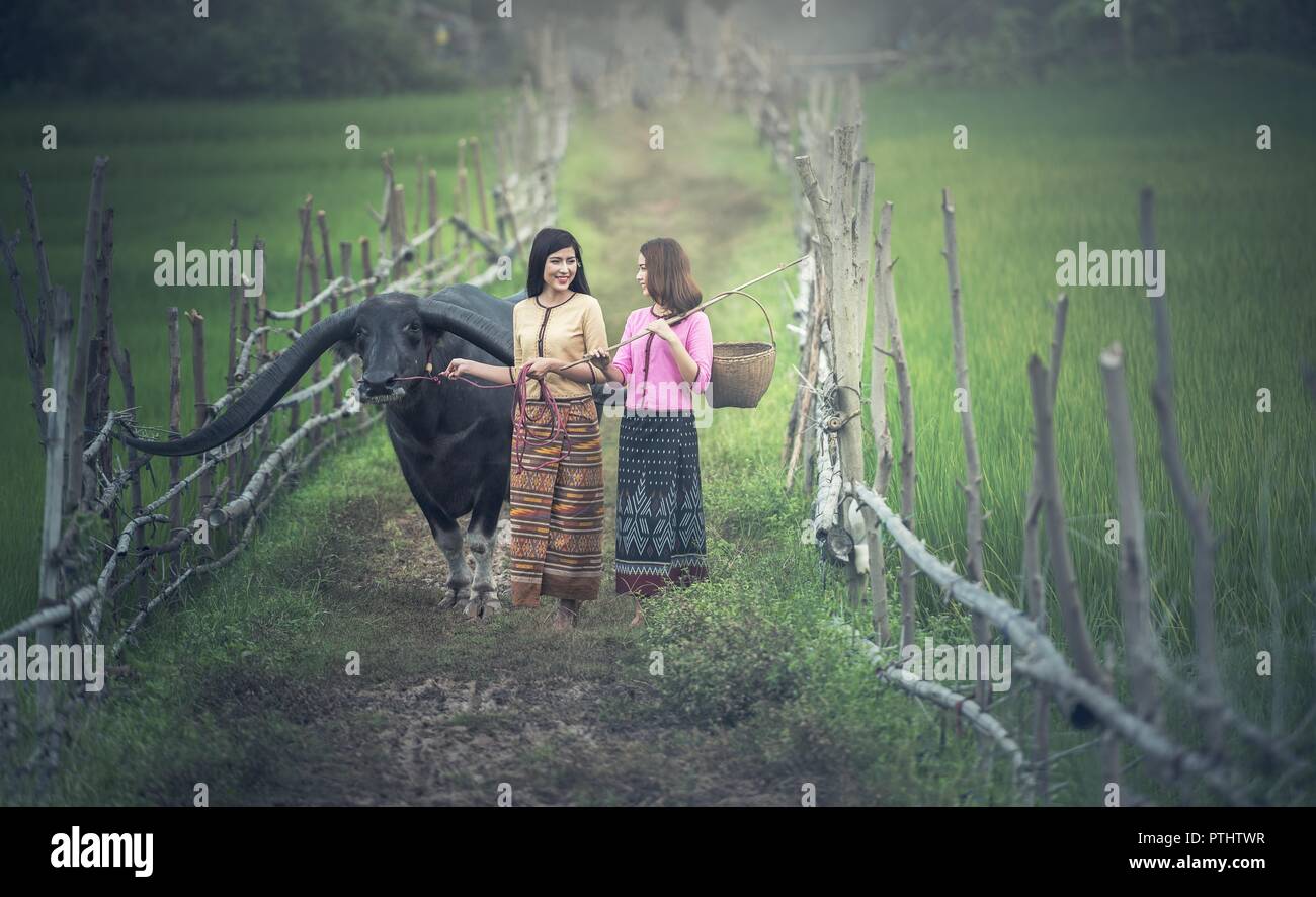 Zwei ländliche Mädchen neben der Büffel Stockfoto