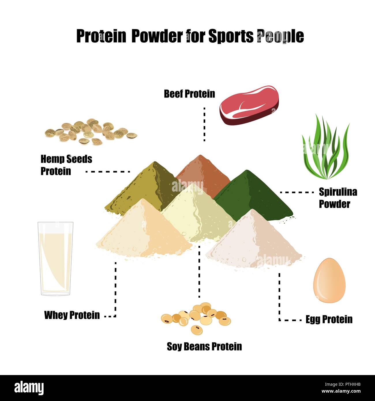 Die beliebtesten und healhty Proteinquellen für Bodybuilder. Molke oder Casein, Egg, Hanfsamen, Rindfleisch, Soja und Spirulina Protein Pulver. Vektor illustr Stock Vektor