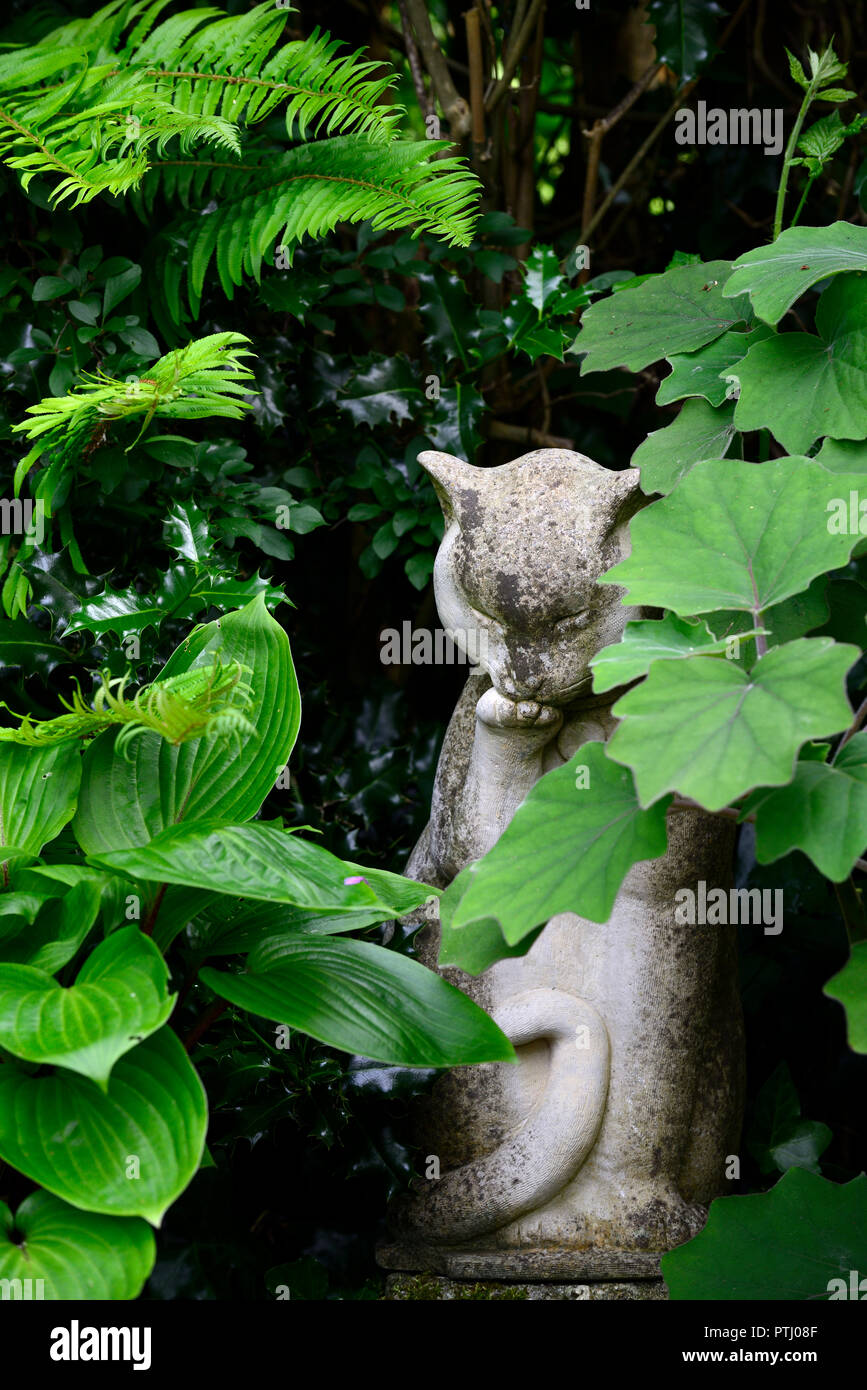 Katze, Statue, Ornament, Gartenfunktion, Schatten, schattig, schattig, Roldana Petasitis syn. Senecio Petasitis, RM floral Stockfoto
