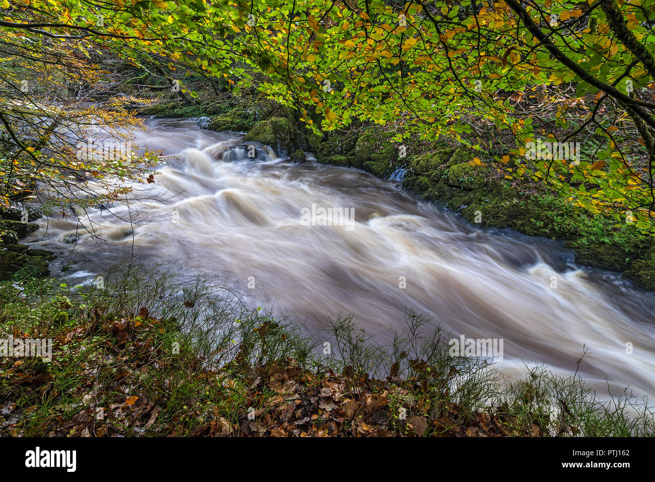 Einem schnell fließenden Abschnitt des Flusses (Afon) Conway in der Nähe der Fairy Glen in der Nähe von Betws-y-coed Snowdonia National Park North Wales UK Oktober 3362 Stockfoto