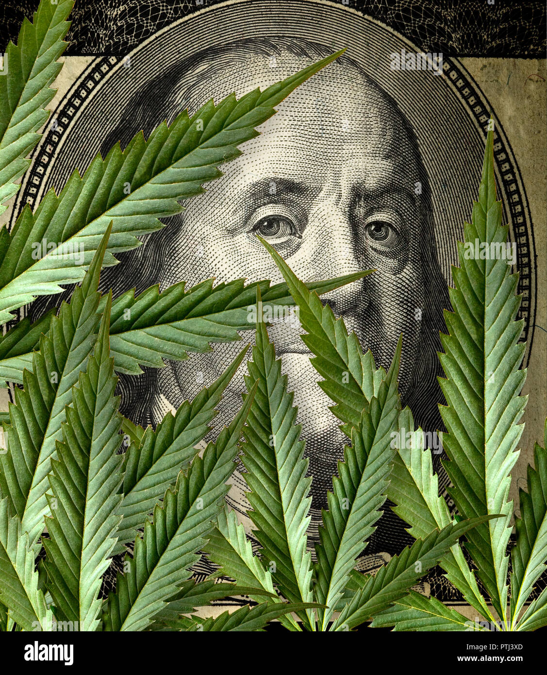 Cannabis mit Geld Foto- und hohe Qualität Stockfoto
