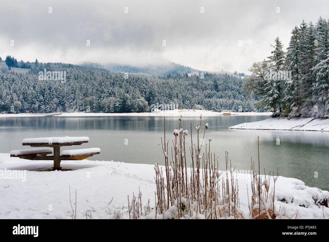 Eine verschneite Picknicktisch am Ufer des Henry Hagg Lake in Oregon Washington County sitzt Stockfoto