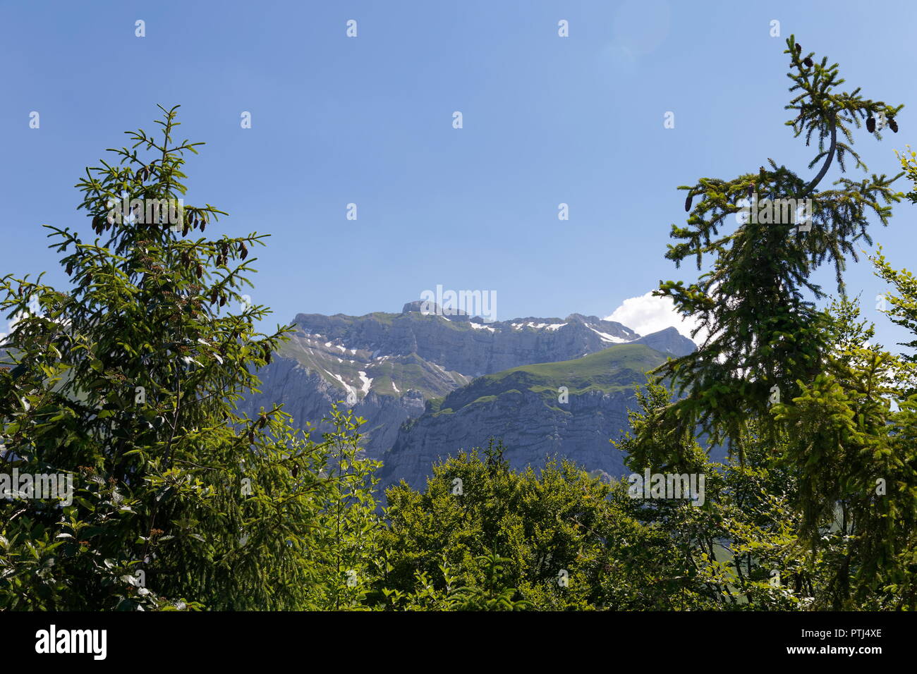 Blick auf La Tournette von einem der Wanderwege rund um Col de La Forclaz Frankreich Stockfoto