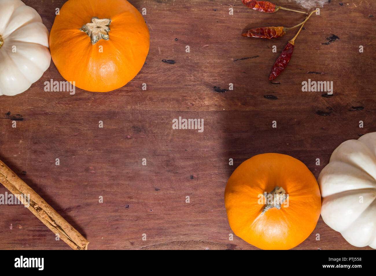 Herbst, Kürbis Spice, Raum für Text Stockfoto