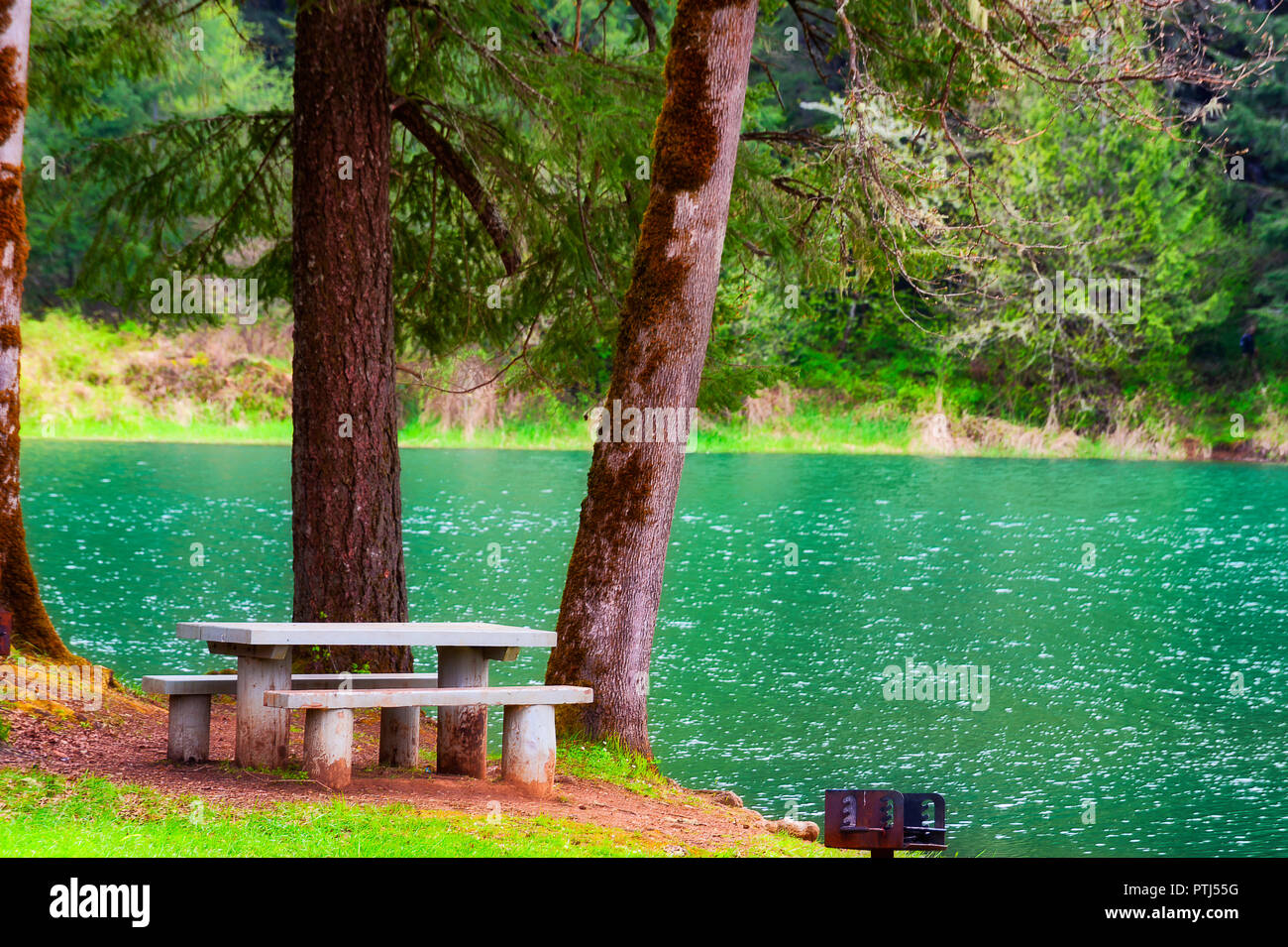 Ein Picknick Tisch lädt zum sitzen und die ruhige Lage an den Ufern des Hagg Lake in Oregon genießen. Stockfoto