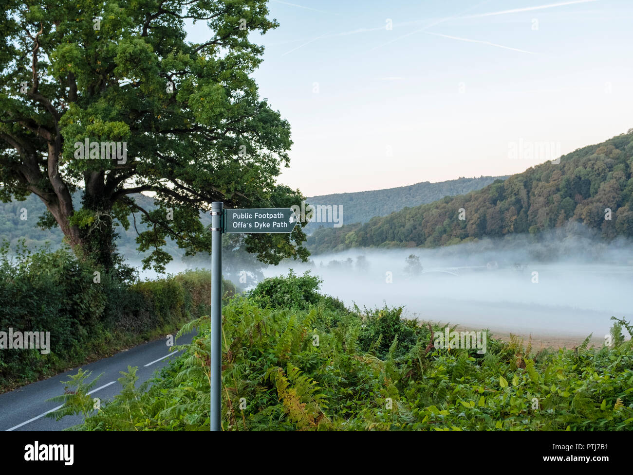 Offa's Dyke Pfad Zeichen im Wye Valley in der Nähe von Bigsweir. Stockfoto