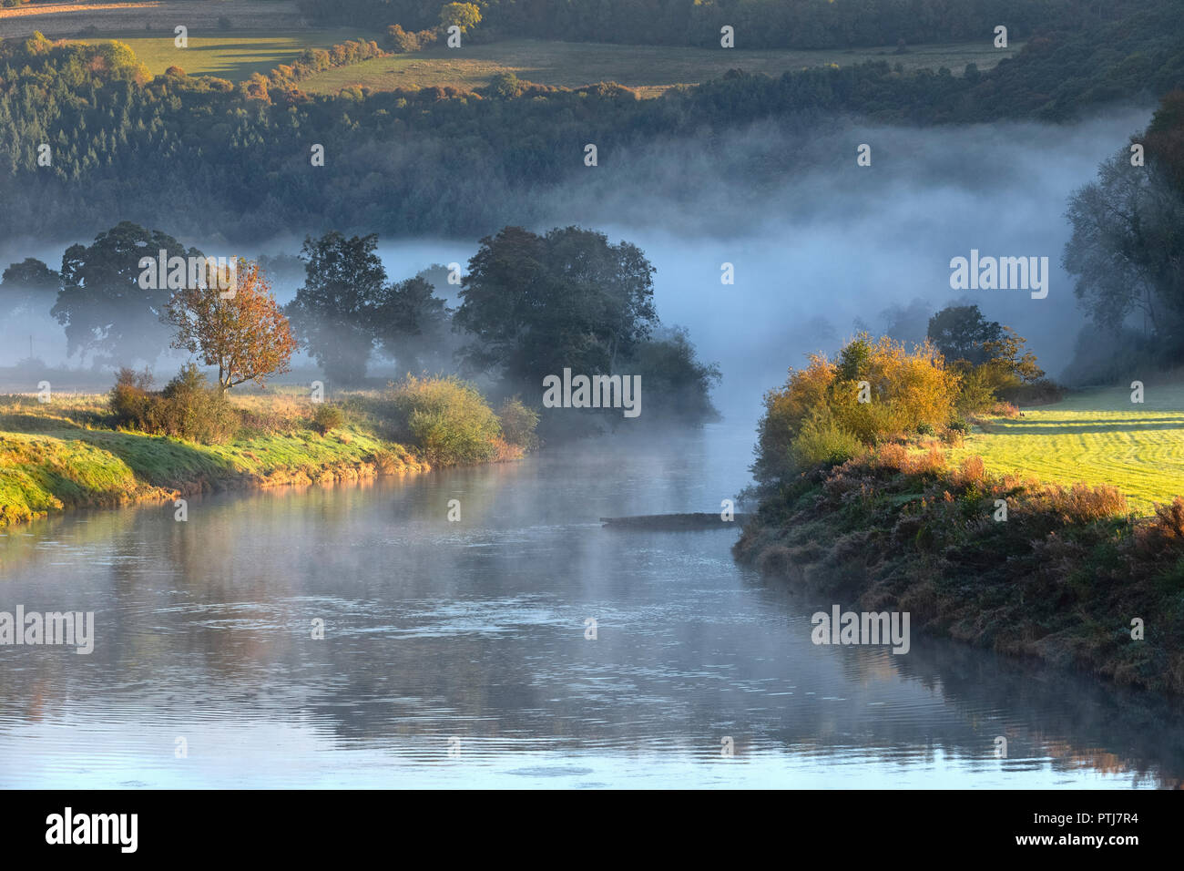 Nebel auf dem Fluss Wye an bigsweir auf der Gloucestershire Monmouthshire Grenze. Stockfoto