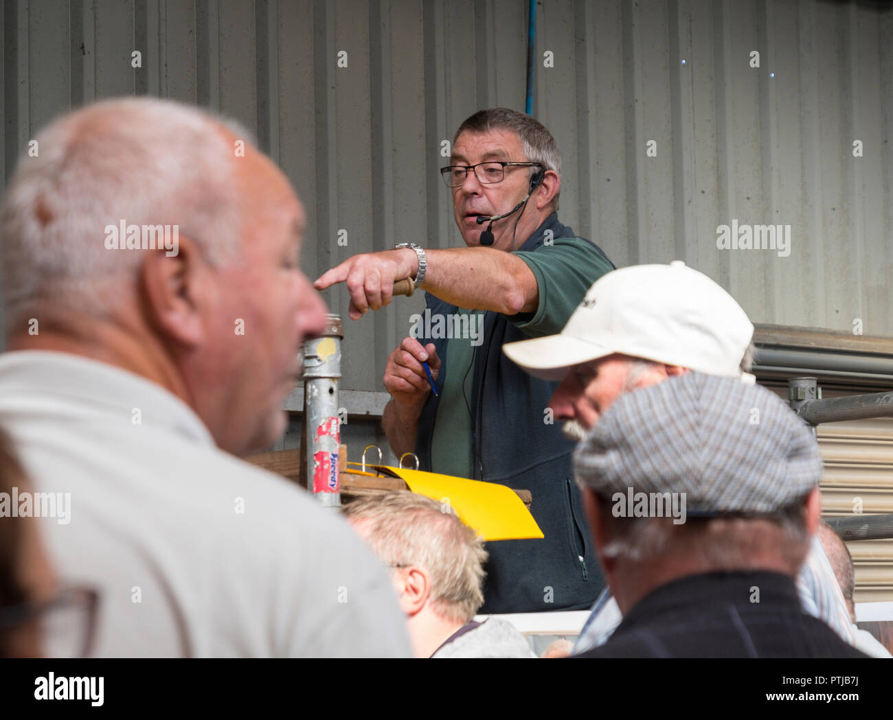 Beim Versteigerer Melton Mowbray Viehmarkt. Stockfoto